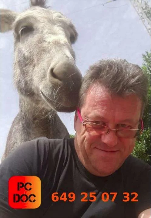 Für die Pferde und Esel