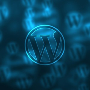Wordpress ist das beliebteste CMS